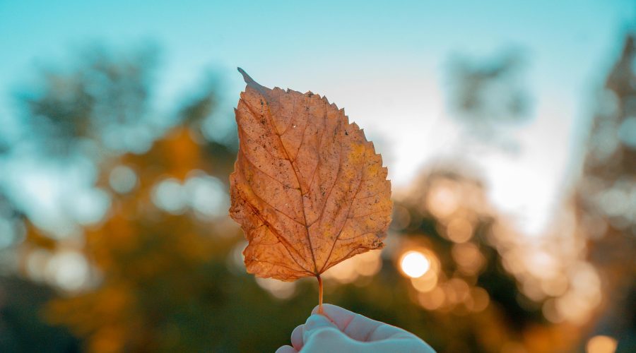 Refuerza tus defensas en octubre: consejos clave para afrontar el otoño