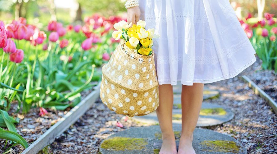 La primavera: renacimiento y equilibrio a través de la alimentación