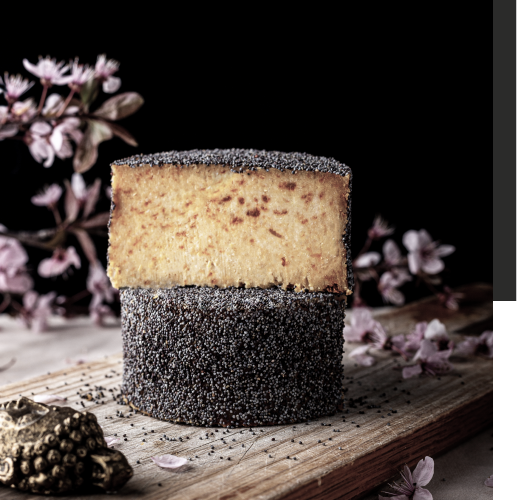 Veggie Karma, iniciativa compromesa amb l’alimentació 100 % vegetal