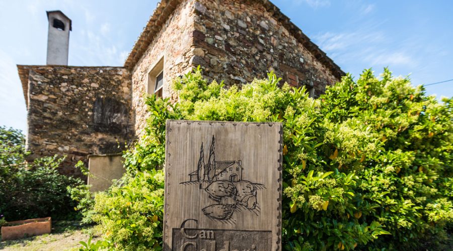 Fruits Secs i Fruita Seca: Superaliments de la Dieta Mediterrània Fruits Secs i Fruita Seca: Superaliments de la Dieta Mediterrània