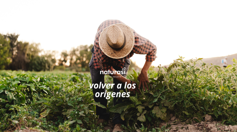 Bio es salud: Volver a lo esencial para vivir mejor