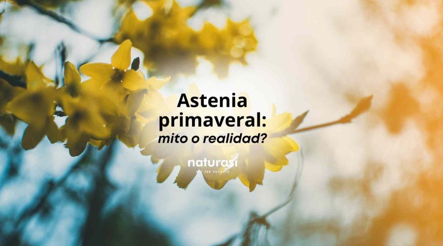 Astenia primaveral : ¿mito o realidad?
