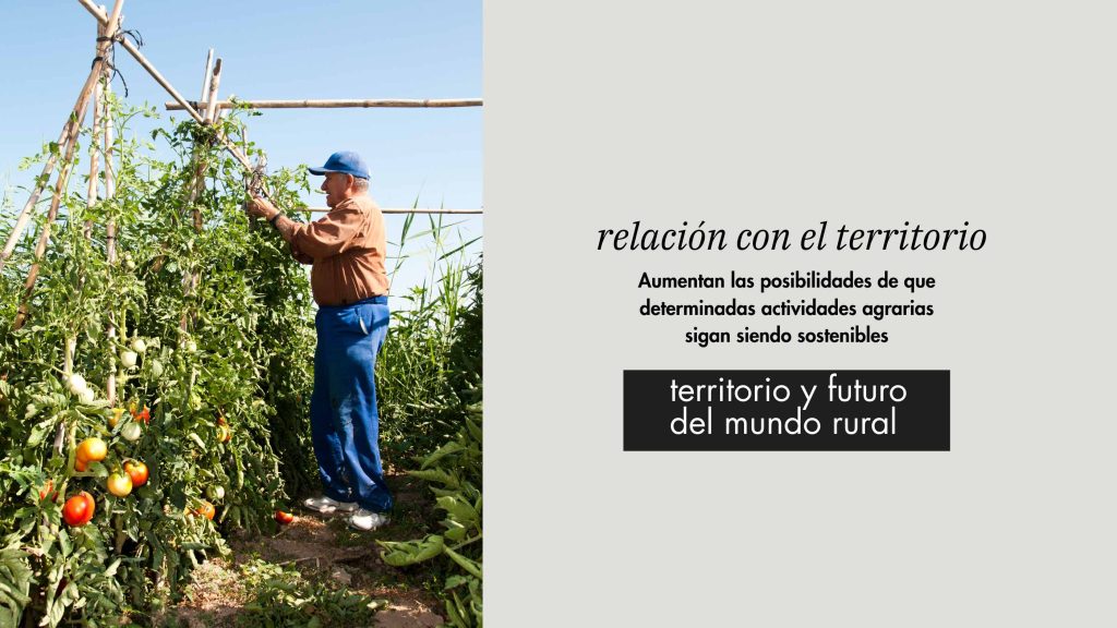 agricultor trabajando en el campo