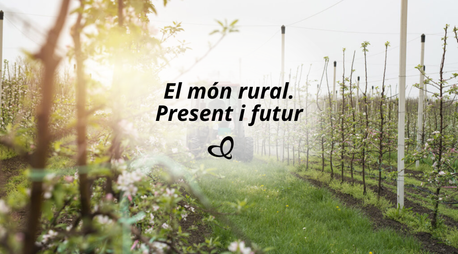 El món rural: repensar el futur des dels pobles